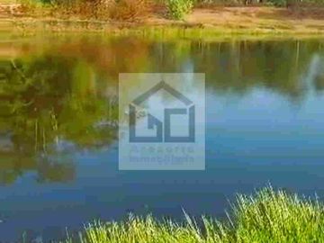 Fundo en venta 34.5 Has. Km. 38.5 carretera Iquitos Nauta