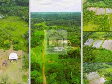 Fundo en venta 34.5 Has. Km. 38.5 carretera Iquitos Nauta