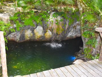 Terreno Ejidal en Venta con Cenote en Puerto Morelos