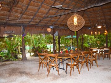 Terreno Ejidal en Venta con Cenote en Puerto Morelos