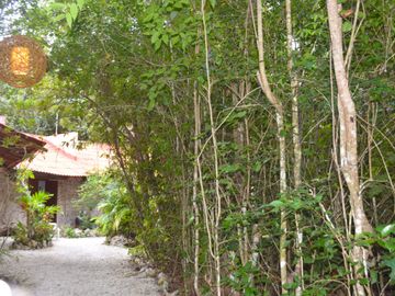 Terreno Ejidal en Venta con Cenote en Puerto Morelos