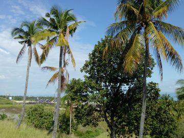 Pre-Selling 2 Storey 4 Bedroom Single Detached House and Lot for Sale in San Fernando Cebu