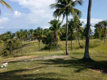 Pre-Selling 2 Storey 4 Bedroom Single Detached House and Lot for Sale in San Fernando Cebu