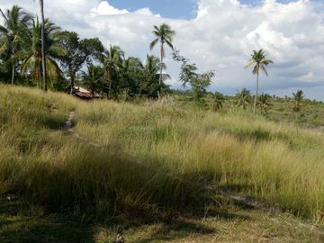 Pre-Selling 2 Storey 4 Bedroom Single Detached House and Lot for Sale in San Fernando Cebu