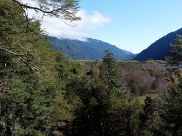 Complejo Turístico con cabañas en Ralún - Puerto Varas, Los Lagos