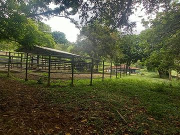 FINCA YOTOCO GANADERA