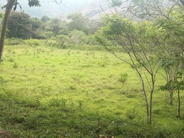 FINCA YOTOCO GANADERA
