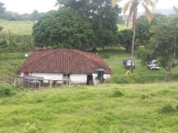 FINCA YOTOCO GANADERA