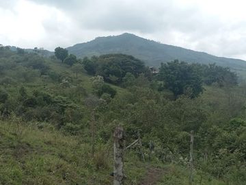 FINCA YOTOCO GANADERA