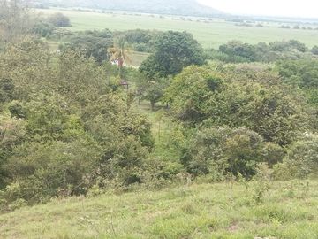 FINCA YOTOCO GANADERA