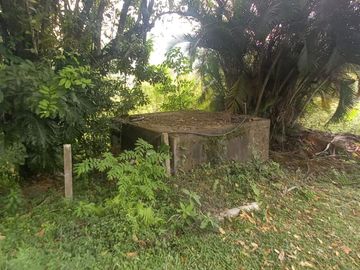FINCA YOTOCO GANADERA