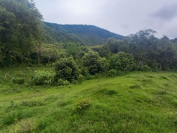 FINCA YOTOCO GANADERA