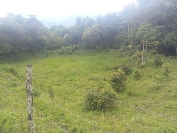 FINCA YOTOCO GANADERA