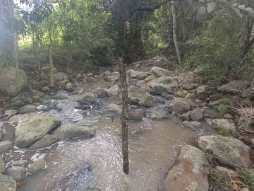 FINCA YOTOCO GANADERA