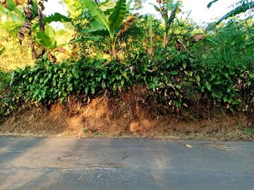 Tanah 3000m² Datar Kemuning Karanganyar