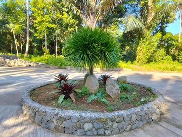 LOT FOR SALE AFFORDABLE IN ALFONSO CAVITE WITH FRUIT BEARING TREE ALONG THE ROAD