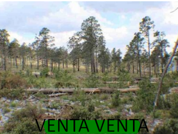 VILLA QUINTA ESTILO CABAÑA DE LUJO EN VENTA EN ARTEAGA COAHUILA ZONA LA VIGA