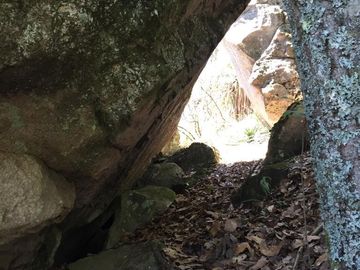 RANCHO EL JARDÍN EN VENTA