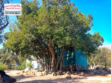 🏠SE VENDE  PARCELA CON CASA EN LA AURORA🏠
