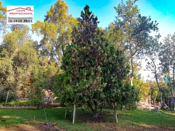 🏠SE VENDE  PARCELA CON CASA EN LA AURORA🏠