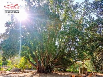 🏠SE VENDE  PARCELA CON CASA EN LA AURORA🏠