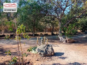 🏠SE VENDE  PARCELA CON CASA EN LA AURORA🏠