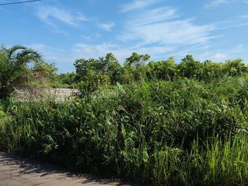 Jual Tanah 2.219 m2 di Kotawaringin Timur Dekat Citimall Sampit