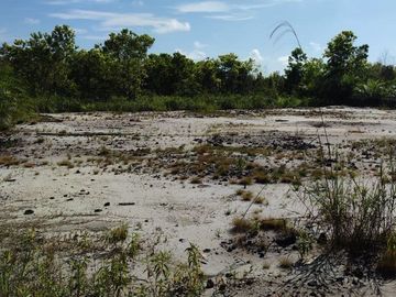 Jual Tanah 2.219 m2 di Kotawaringin Timur Dekat Citimall Sampit