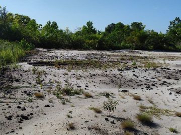 Jual Tanah 2.219 m2 di Kotawaringin Timur Dekat Citimall Sampit