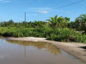 Jual Tanah 2.219 m2 di Kotawaringin Timur Dekat Citimall Sampit
