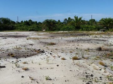 Jual Tanah 2.219 m2 di Kotawaringin Timur Dekat Citimall Sampit