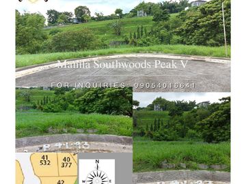 398	sq.m. Lot for Sale at Manila Southwoods Peak V