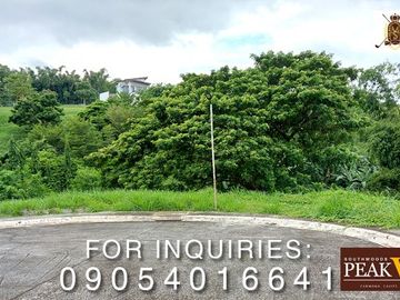 398	sq.m. Lot for Sale at Manila Southwoods Peak V
