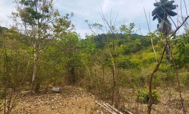 For Sale! 68,580 sqm Agricultural Lot, Busuanga, Palawan