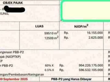 Lahan 6Ha NJOP Pinggir Jalan Raya Bekasi Jakarta Timur