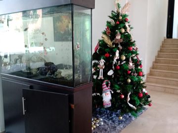 Venta Casa Vía Piedecuesta