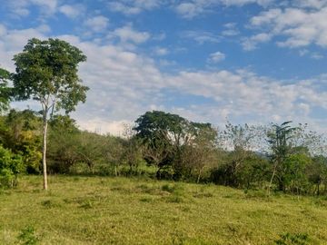 VENDO FINCA GANADERA 34.7 HA EN TARAPOTO - PERU