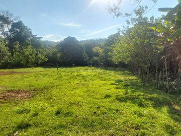 VENDO FINCA GANADERA 34.7 HA EN TARAPOTO - PERU