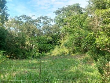 VENDO FINCA GANADERA 34.7 HA EN TARAPOTO - PERU