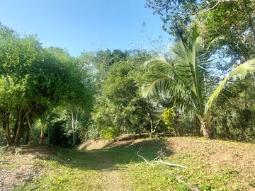 VENDO FINCA GANADERA 34.7 HA EN TARAPOTO - PERU