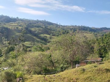 VENDO FINCA GANADERA 34.7 HA EN TARAPOTO - PERU