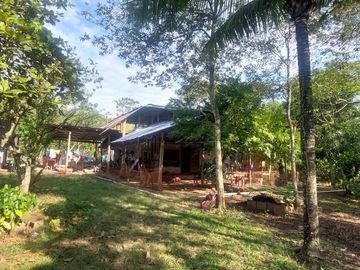 VENDO FINCA GANADERA 34.7 HA EN TARAPOTO - PERU