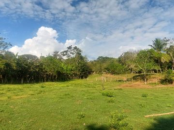 VENDO FINCA GANADERA 34.7 HA EN TARAPOTO - PERU