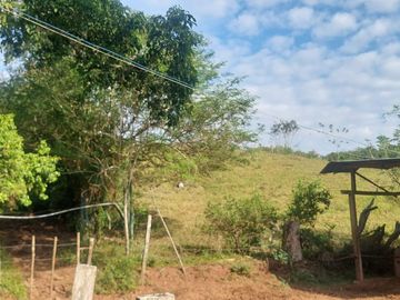 VENDO FINCA GANADERA 34.7 HA EN TARAPOTO - PERU