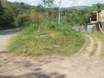 VENDO FINCA GANADERA 34.7 HA EN TARAPOTO - PERU