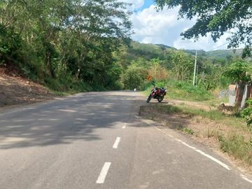 VENDO FINCA GANADERA 34.7 HA EN TARAPOTO - PERU