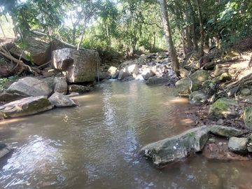 VENDO FINCA GANADERA 34.7 HA EN TARAPOTO - PERU
