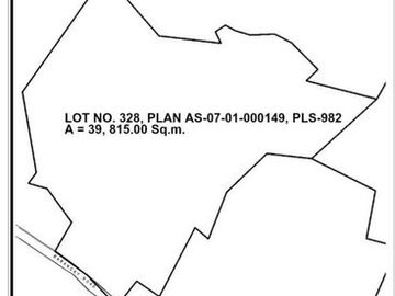 Lot For Sale 39,815 Sqm in Cogon. Compostela Cebu