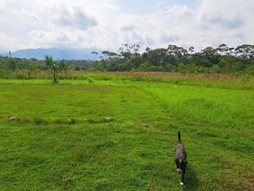 Precio de Remate Complejo Turístico - Hostería Cotundo Archidona - Oriente Ecuador . C: 968 M², T: 15.000 M². $ 179.000