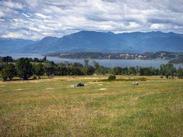 Hermosas Parcelas de 1ha con vista al Lago y Volcán en Panguipulli
